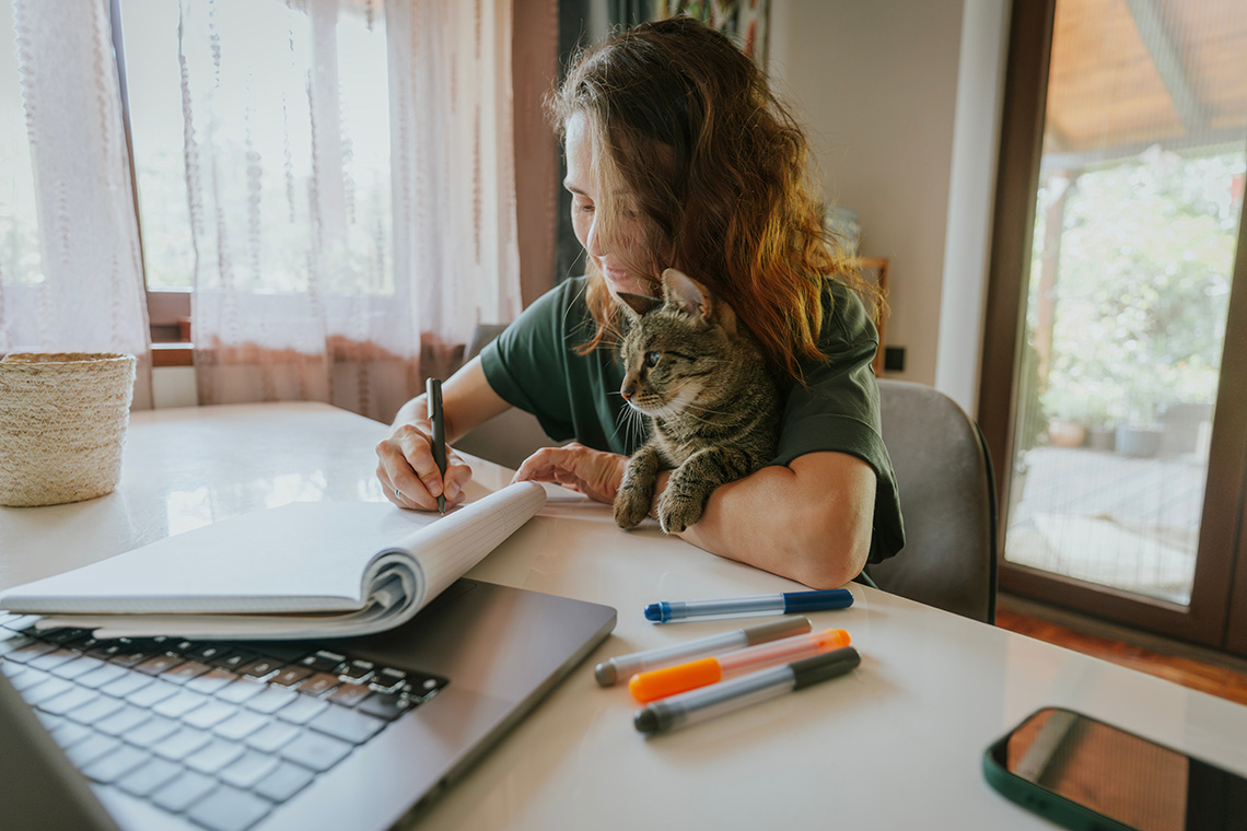 DIY Debt Settlement Pros and Cons